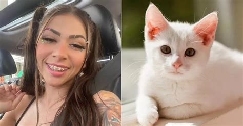 pipoquinha com gato|MC Pipokinha é denunciada por zoofilia após vídeo com gatos